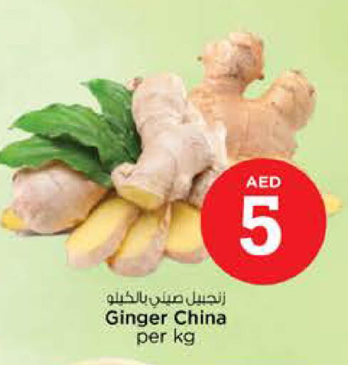 Ginger from China available at نستو هايبرماركت in الإمارات العربية المتحدة , الامارات - الشارقة / عجمان