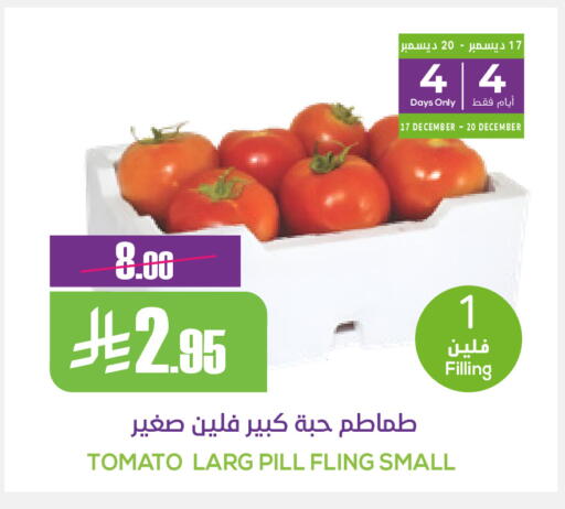 Tomato available at سبت in مملكة العربية السعودية, السعودية, سعودية - بريدة