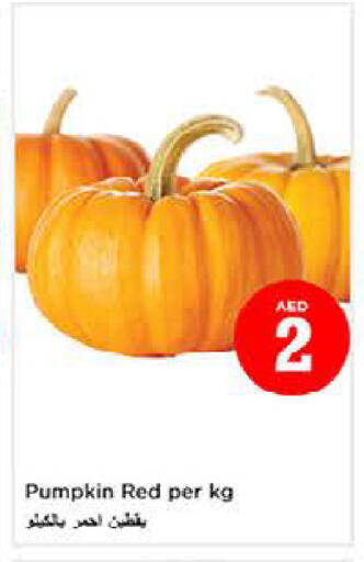 Pumpkin available at لاست تشانس in الإمارات العربية المتحدة , الامارات - ٱلْفُجَيْرَة‎