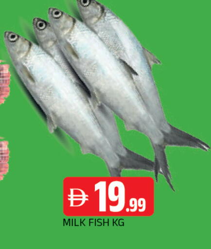 available at AL MADINA in UAE - Sharjah / Ajman