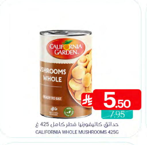 available at Muntazah Markets in KSA, Saudi Arabia, Saudi - Dammam