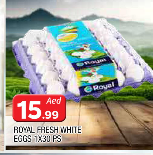 available at المدينة in الإمارات العربية المتحدة , الامارات - الشارقة / عجمان