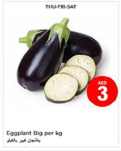 Eggplant available at لاست تشانس in الإمارات العربية المتحدة , الامارات - ٱلْفُجَيْرَة‎