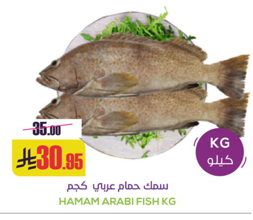 available at سبت in مملكة العربية السعودية, السعودية, سعودية - بريدة