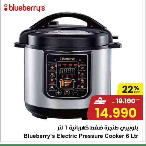 Blueberry BlueBerry available at مركز سلطان in عُمان - صُحار‎