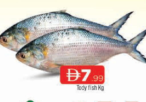 available at المدينة in الإمارات العربية المتحدة , الامارات - الشارقة / عجمان