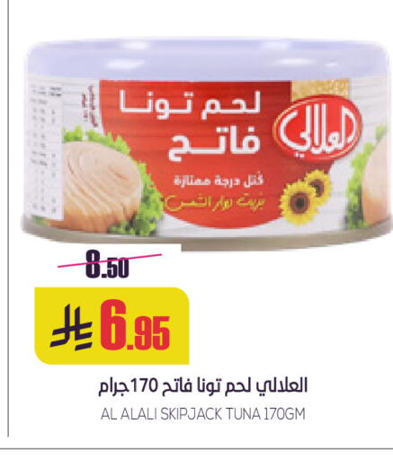 available at سبت in مملكة العربية السعودية, السعودية, سعودية - بريدة