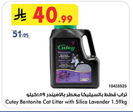 available at بن داود in مملكة العربية السعودية, السعودية, سعودية - خميس مشيط