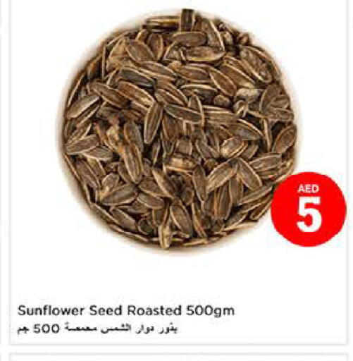 available at لاست تشانس in الإمارات العربية المتحدة , الامارات - ٱلْفُجَيْرَة‎