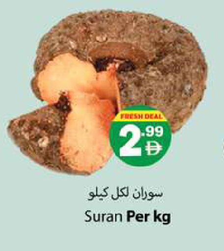 available at زين مارت سوبرماركت in الإمارات العربية المتحدة , الامارات - رَأْس ٱلْخَيْمَة