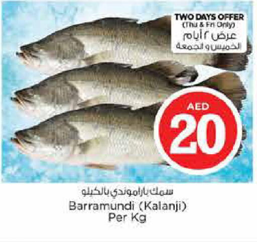 available at نستو هايبرماركت in الإمارات العربية المتحدة , الامارات - الشارقة / عجمان