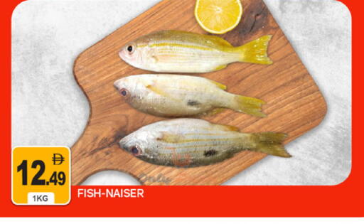 available at سوق طلال in الإمارات العربية المتحدة , الامارات - دبي