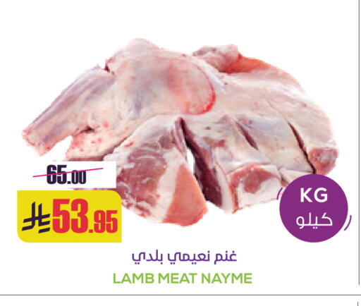available at سبت in مملكة العربية السعودية, السعودية, سعودية - بريدة