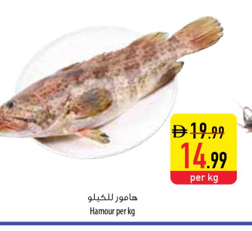 available at السفير ماركت in الإمارات العربية المتحدة , الامارات - أم القيوين‎
