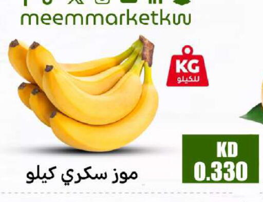 available at شركة سوق ميم المركزي  in الكويت - محافظة الجهراء