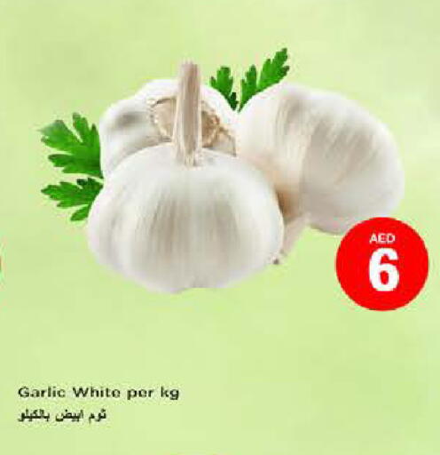 Garlic available at نستو هايبرماركت in الإمارات العربية المتحدة , الامارات - ٱلْفُجَيْرَة‎