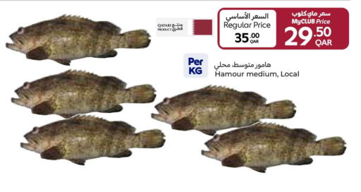 available at كارفور in قطر - الريان