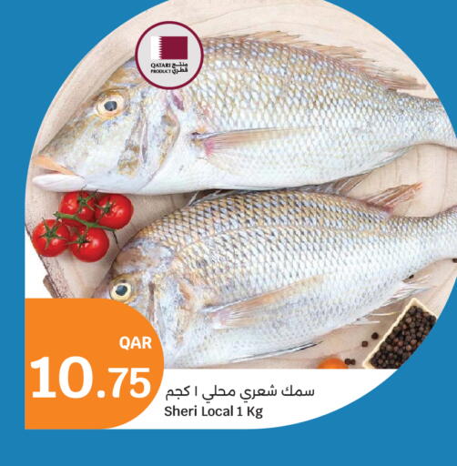available at سيتي هايبرماركت in قطر - الخور