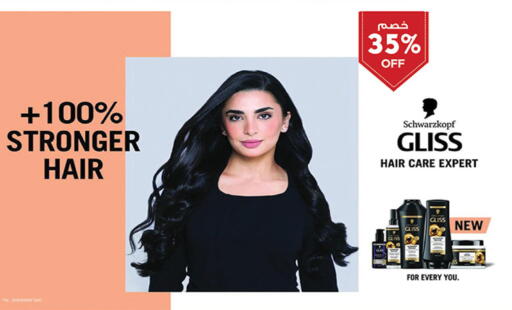 available at بن داود in مملكة العربية السعودية, السعودية, سعودية - المدينة المنورة