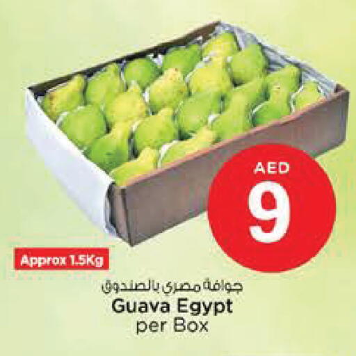 Guava from Egypt available at نستو هايبرماركت in الإمارات العربية المتحدة , الامارات - أبو ظبي