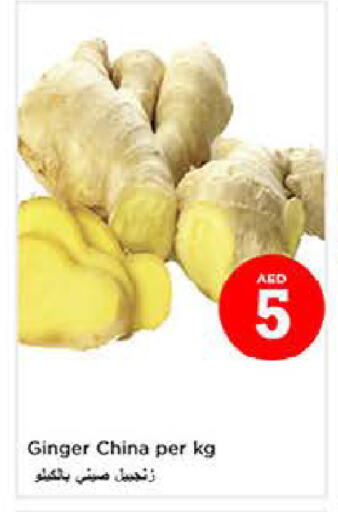 Ginger from China available at لاست تشانس in الإمارات العربية المتحدة , الامارات - ٱلْفُجَيْرَة‎