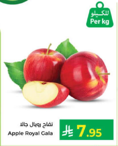 Apple available at كبايان هايبرماركت in مملكة العربية السعودية, السعودية, سعودية - ينبع
