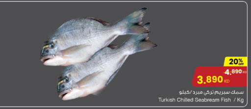 available at مركز سلطان in الكويت - محافظة الأحمدي