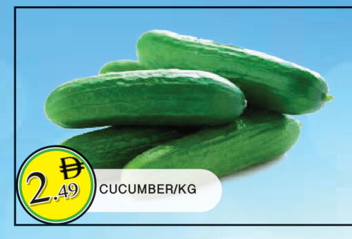 Cucumber available at المدينة in الإمارات العربية المتحدة , الامارات - الشارقة / عجمان
