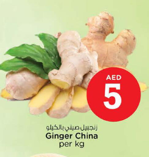 Ginger from China available at نستو هايبرماركت in الإمارات العربية المتحدة , الامارات - الشارقة / عجمان