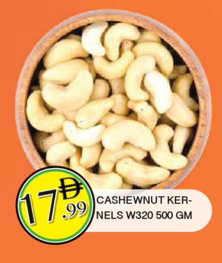 available at المدينة in الإمارات العربية المتحدة , الامارات - الشارقة / عجمان