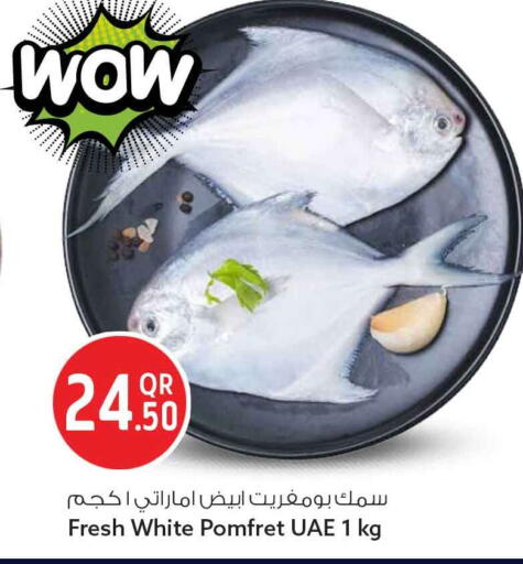 available at سفاري هايبر ماركت in قطر - الريان