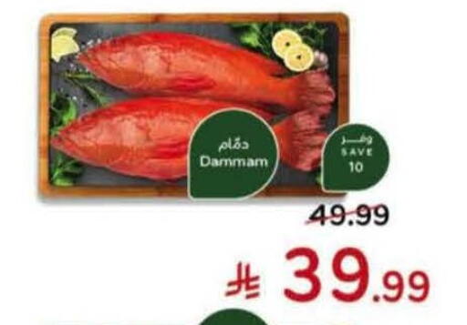 available at Hyper Panda in KSA, Saudi Arabia, Saudi - Al Duwadimi