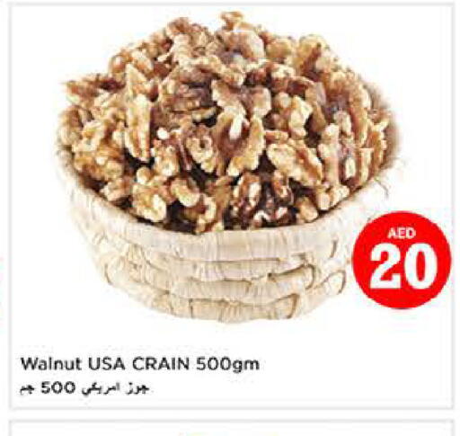 available at لاست تشانس in الإمارات العربية المتحدة , الامارات - ٱلْفُجَيْرَة‎