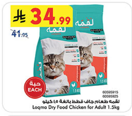 available at بن داود in مملكة العربية السعودية, السعودية, سعودية - خميس مشيط