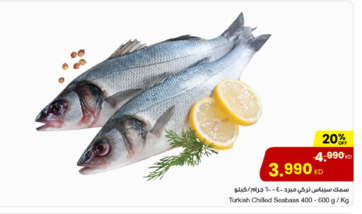 available at مركز سلطان in الكويت - مدينة الكويت