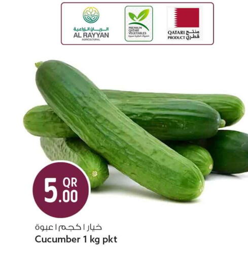 Cucumber available at سفاري هايبر ماركت in قطر - الدوحة