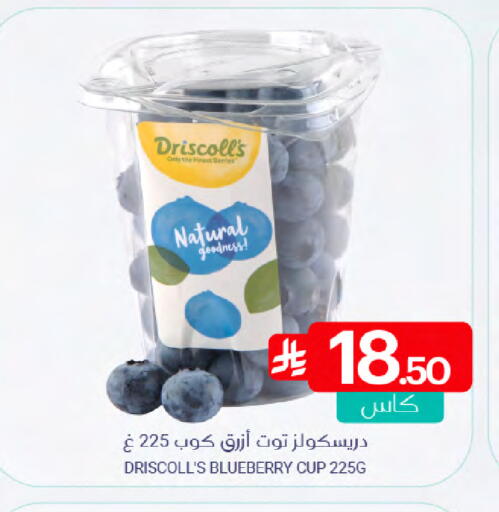 Blueberry BlueBerry available at اسواق المنتزه in مملكة العربية السعودية, السعودية, سعودية - سيهات