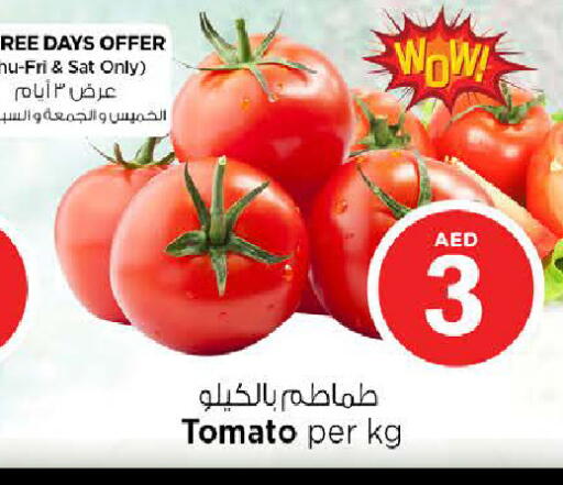 Tomato available at نستو هايبرماركت in الإمارات العربية المتحدة , الامارات - الشارقة / عجمان