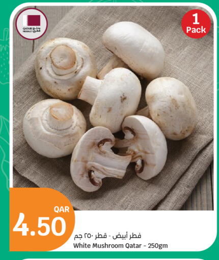 Mushroom from Qatar available at City Hypermarket in Qatar - Al Daayen