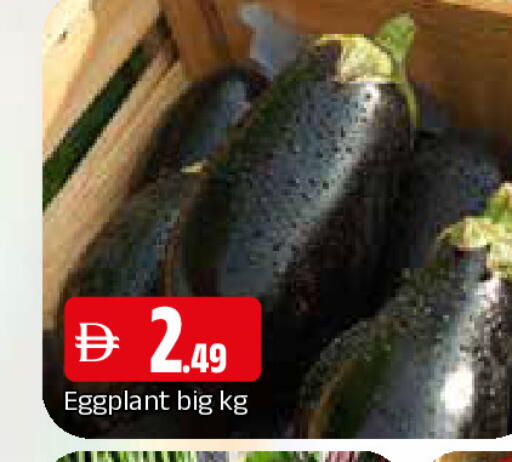 Eggplant available at المدينة in الإمارات العربية المتحدة , الامارات - الشارقة / عجمان