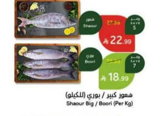 available at هايبر بنده in مملكة العربية السعودية, السعودية, سعودية - حائل‎