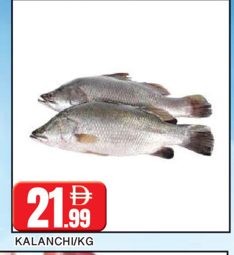 available at المدينة in الإمارات العربية المتحدة , الامارات - الشارقة / عجمان