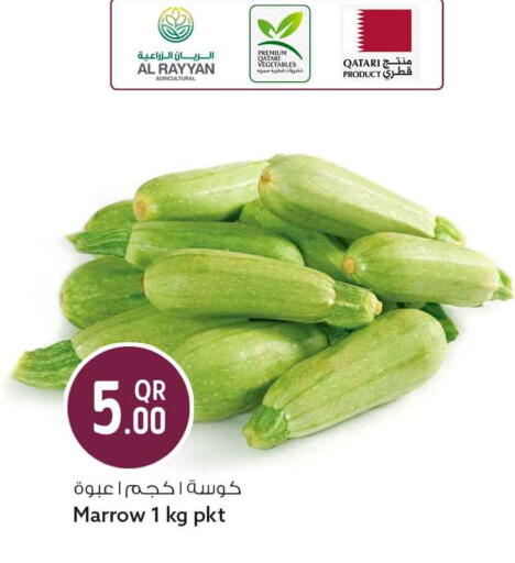 Marrow available at سفاري هايبر ماركت in قطر - الدوحة