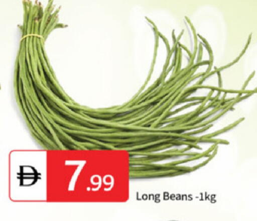 available at سوق طلال in الإمارات العربية المتحدة , الامارات - أبو ظبي