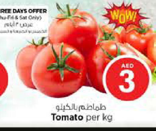 Tomato available at نستو هايبرماركت in الإمارات العربية المتحدة , الامارات - دبي
