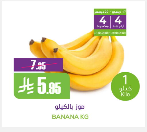 Banana available at سبت in مملكة العربية السعودية, السعودية, سعودية - بريدة