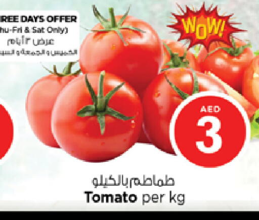 Tomato available at نستو هايبرماركت in الإمارات العربية المتحدة , الامارات - الشارقة / عجمان