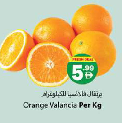 Orange from Valancia available at زين مارت سوبرماركت in الإمارات العربية المتحدة , الامارات - رَأْس ٱلْخَيْمَة