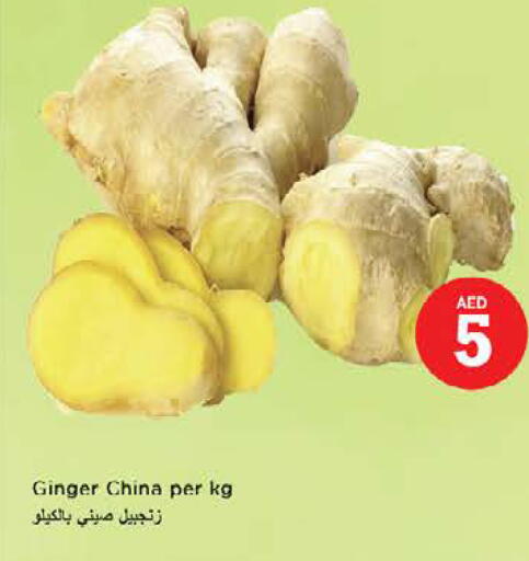 Ginger from China available at نستو هايبرماركت in الإمارات العربية المتحدة , الامارات - الشارقة / عجمان