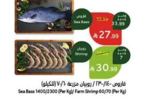 available at Hyper Panda in KSA, Saudi Arabia, Saudi - Hafar Al Batin
